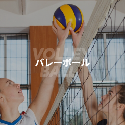バレーボール