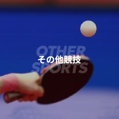 その他競技